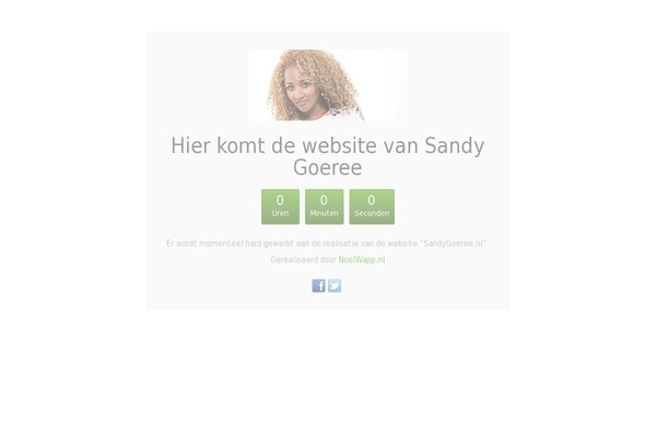 sandygoeree.nl site used Music