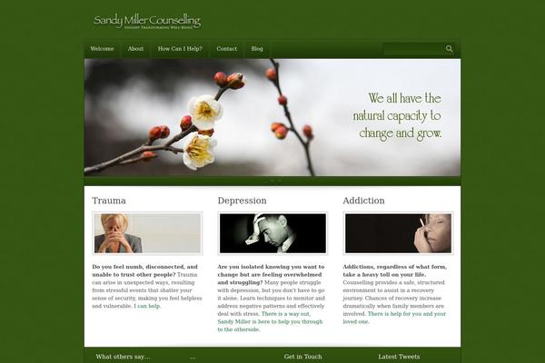 Complexity theme site design template sample