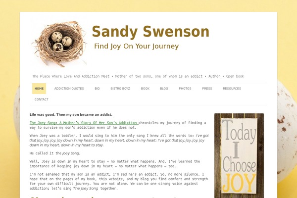 WordPress website example screenshot