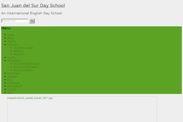 Site using Custom-fonts plugin