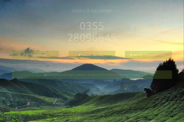 Enfold theme site design template sample