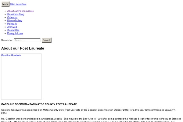 Twenty Thirteen theme site design template sample