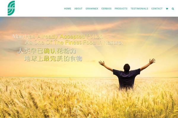 Avada Child Theme theme site design template sample