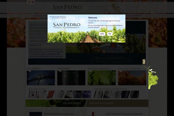sanpedro.cl site used Vsp