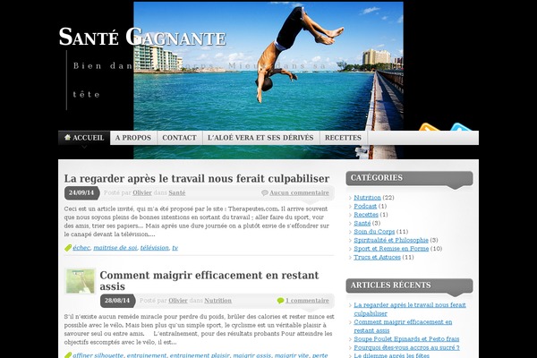 sante-gagnante.com site used Mystique-wordpress