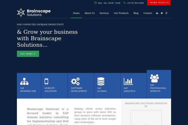 sapb1support.com site used Brainscape