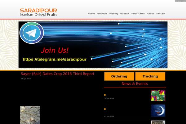 saradipour.com site used Sara-2014