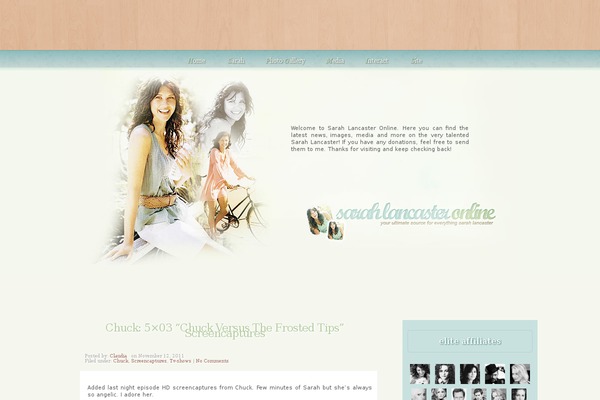 Sarah theme site design template sample