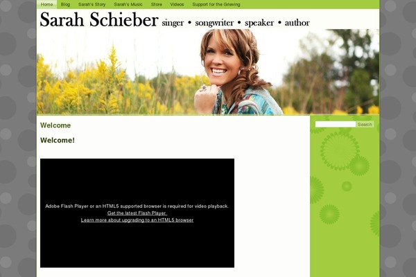 sarahschieber.com site used Sarah-schieber-wordpress-theme-7