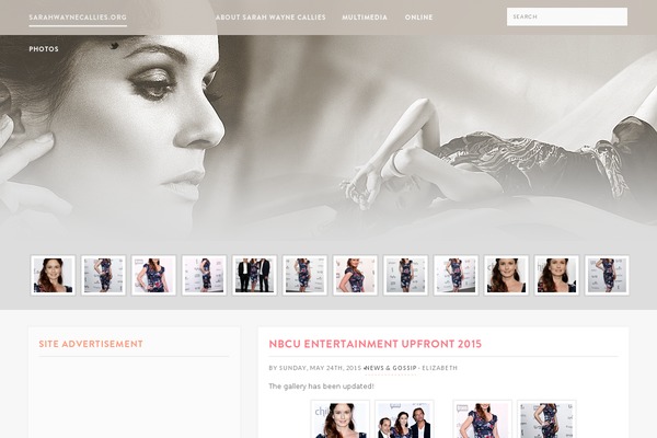 sarahwaynecallies.org site used Ohmy_wp2