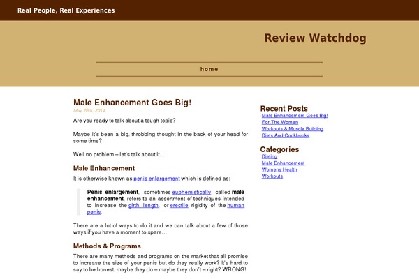 WordPress website example screenshot