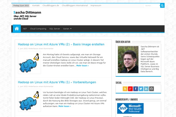 Sahifa theme site design template sample