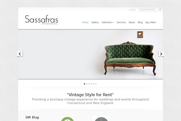 Chameleon theme site design template sample