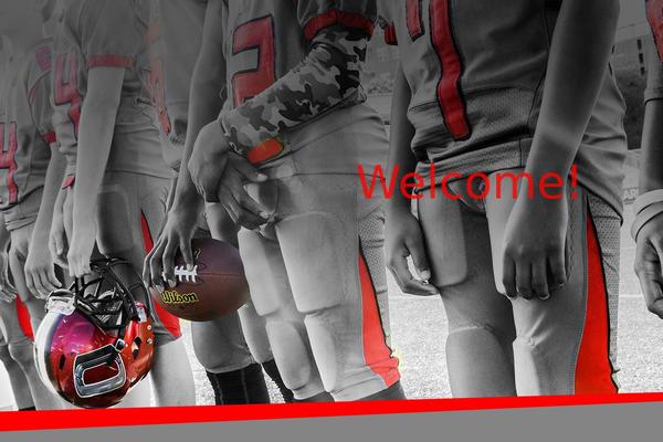 Site using Recent Tweets Widget plugin