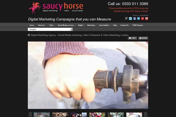 saucyhorse.co.uk site used deTube