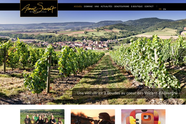 Food & Wine theme site design template sample