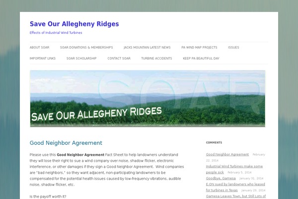 WordPress website example screenshot