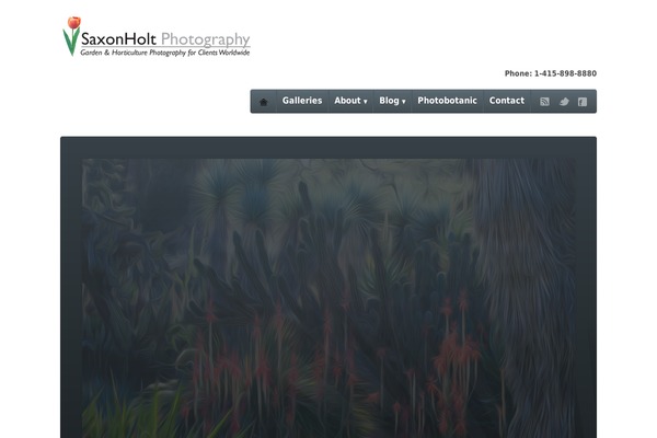 saxonholt.com site used Photobotanic