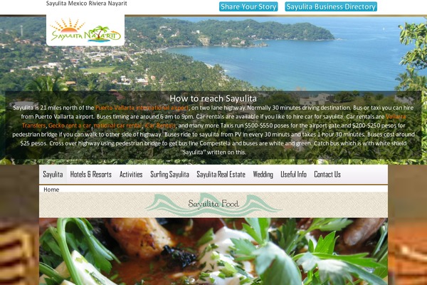 Sayulita theme websites examples