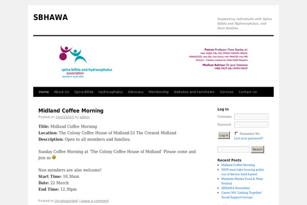 WordPress website example screenshot