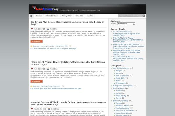 WordPress website example screenshot