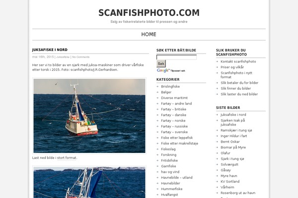 WordPress website example screenshot