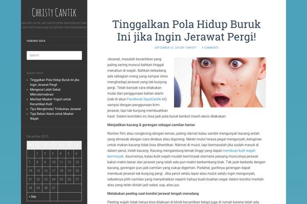 WordPress website example screenshot
