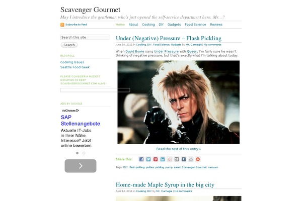 scavengergourmet.com site used Tarski_3.0.3