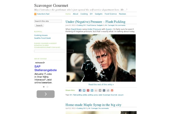 WordPress website example screenshot