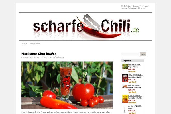 Twenty Ten theme site design template sample