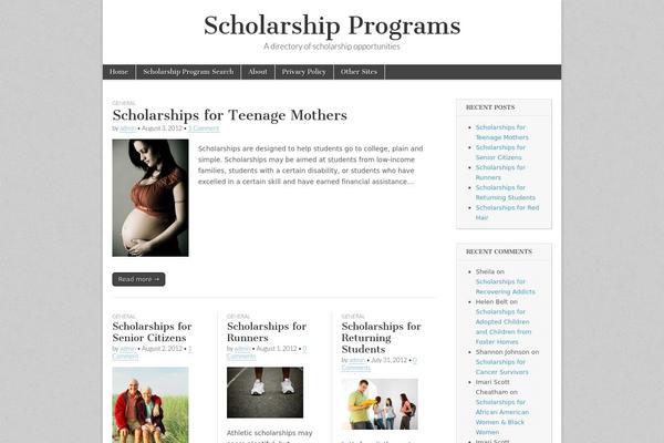 WordPress website example screenshot