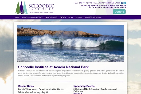 schoodic theme websites examples