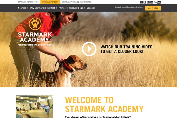 schoolfordogtrainers.com site used Starmark-academy