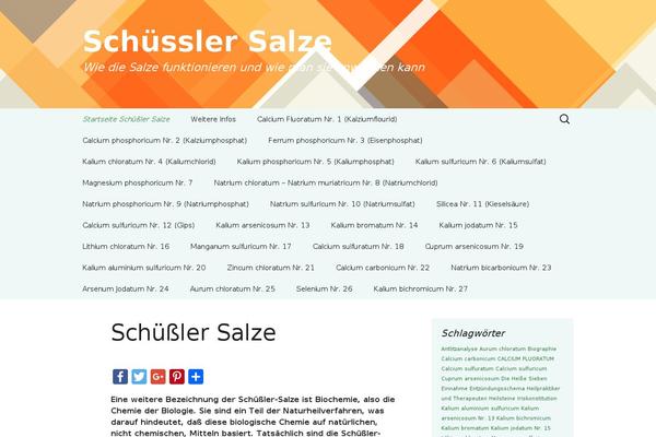schuessler-salze-verzeichnis.de site used 2013 Green Sequence