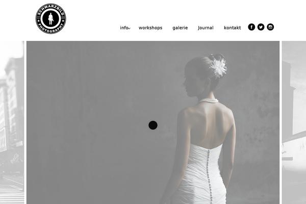 Divi Child theme site design template sample