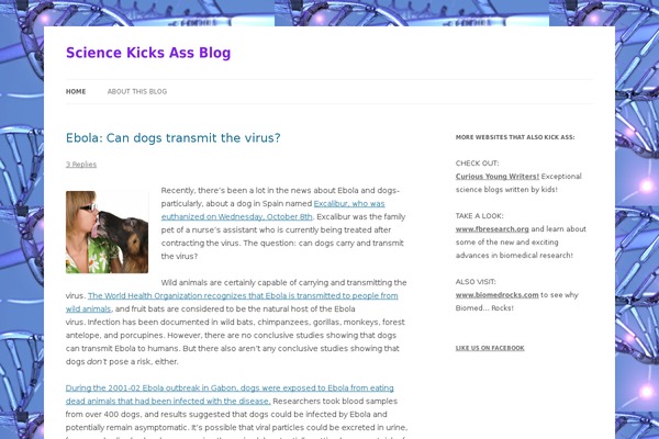 Twenty Twelve theme site design template sample