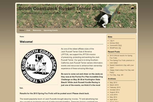 WordPress website example screenshot