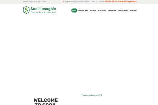scoiliosagain.com site used Little-birdies
