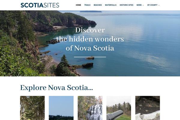 Divi theme site design template sample