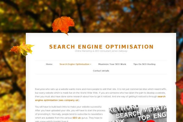 Twenty Fourteen theme site design template sample