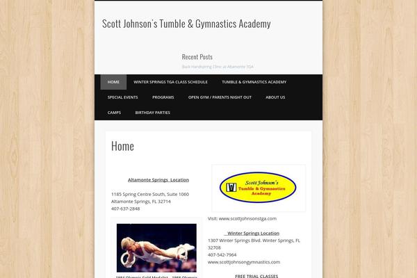 WordPress website example screenshot