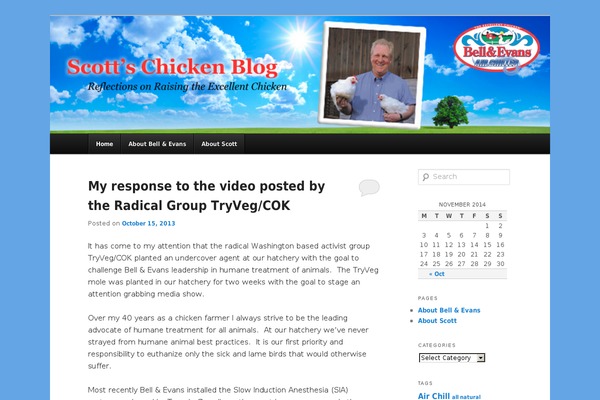 WordPress website example screenshot