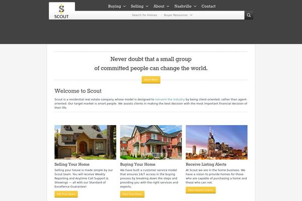 scoutnashville.com site used Sintia-old