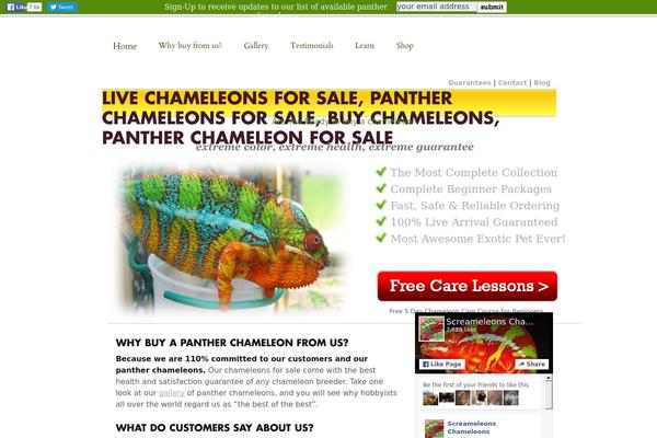 WordPress website example screenshot