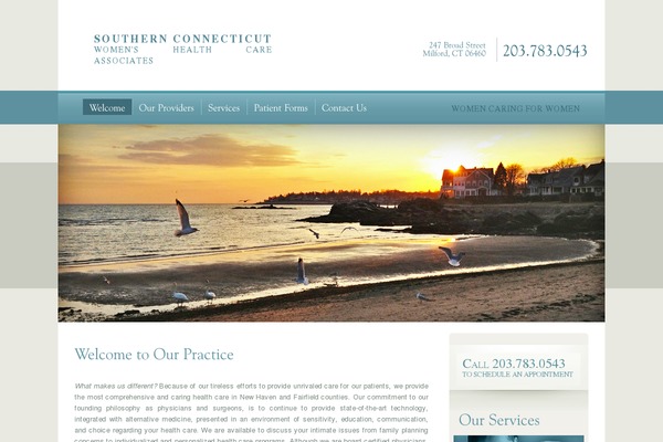 scwhca.com site used Downtownobgyn