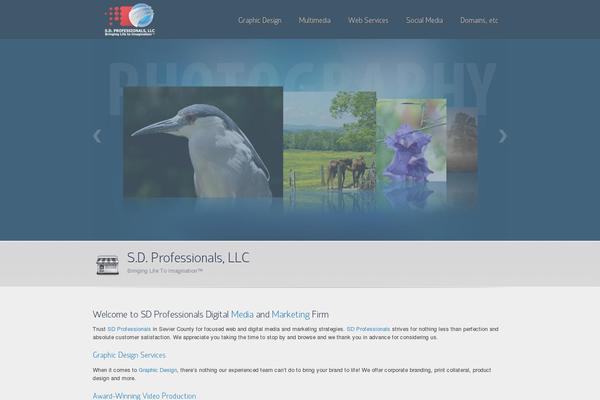 sdprofessionalsllc.com site used Envision