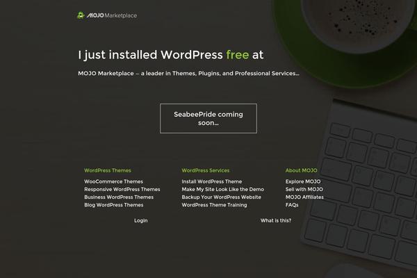 WordPress website example screenshot