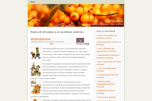 seaberry.ru site used O2