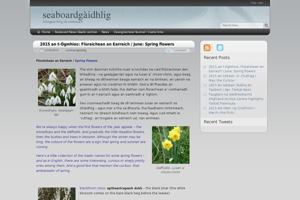 seaboardgaidhlig.com site used Arjuna X