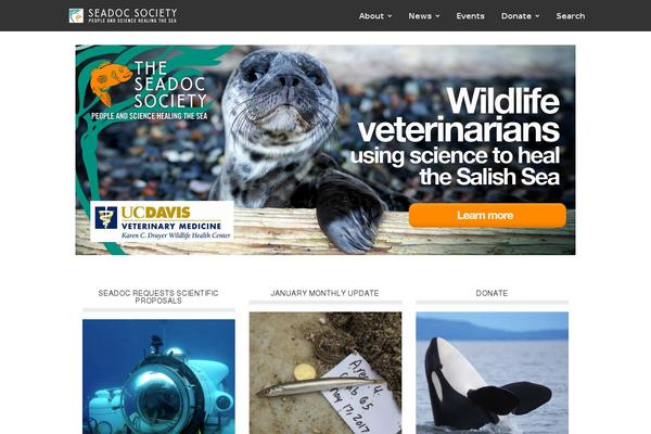 Metro Pro theme site design template sample
